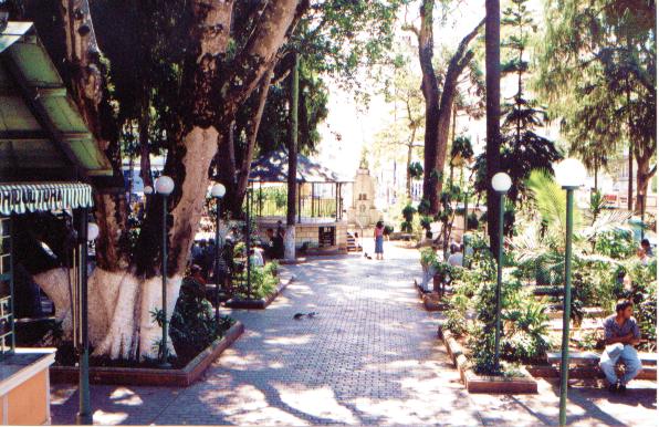 Jardim Municipal - Foto: WeBcena