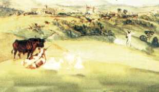 Detalhe da aquarela de Johann Morits Rugendas - Vista de Barbacena - 1824 (arquivo da Academia de Ciências da Rússia)